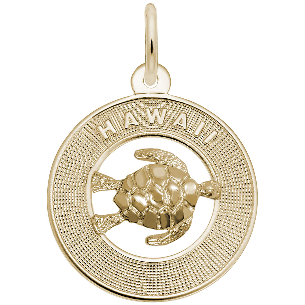 Hawaii W/Turtle