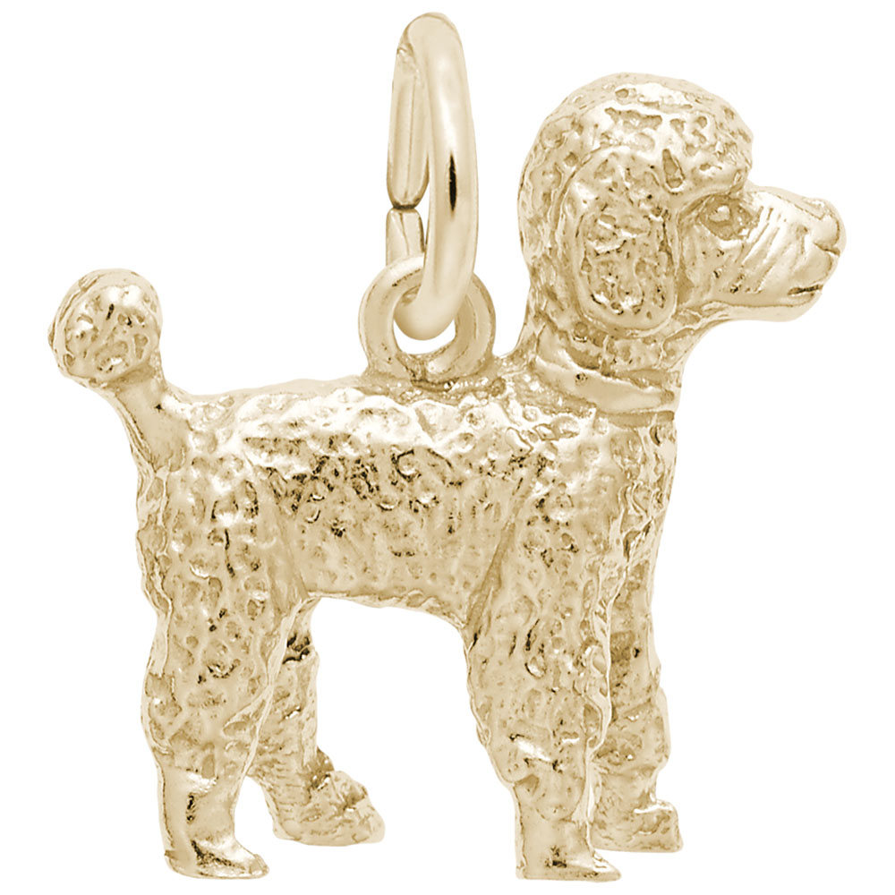 Poodle
