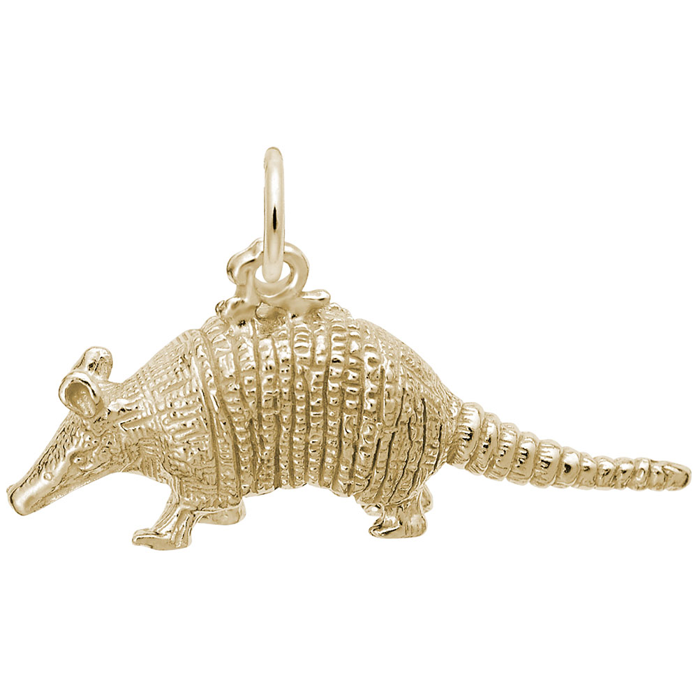 Armadillo