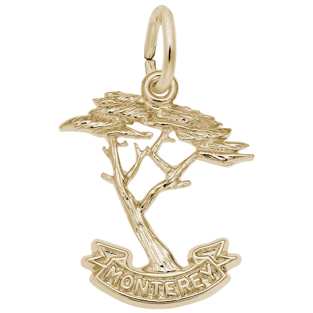 Monterey Cypress