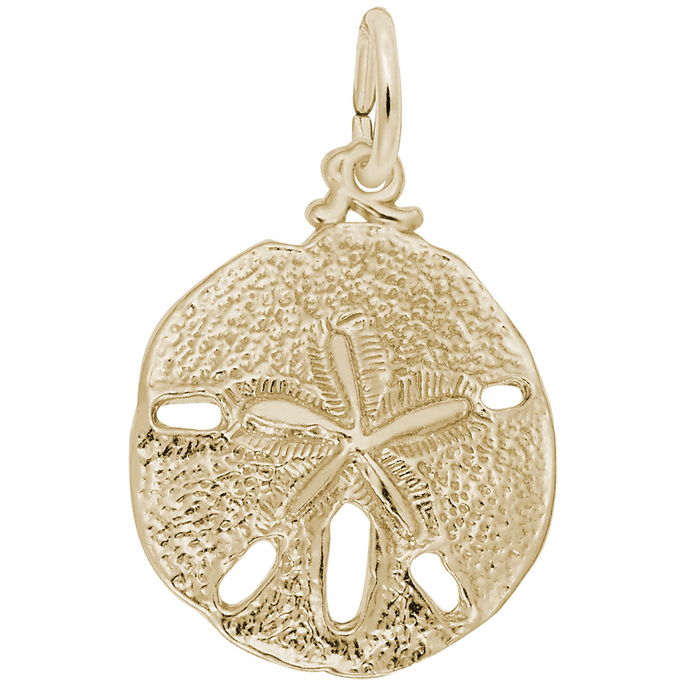 Sand Dollar