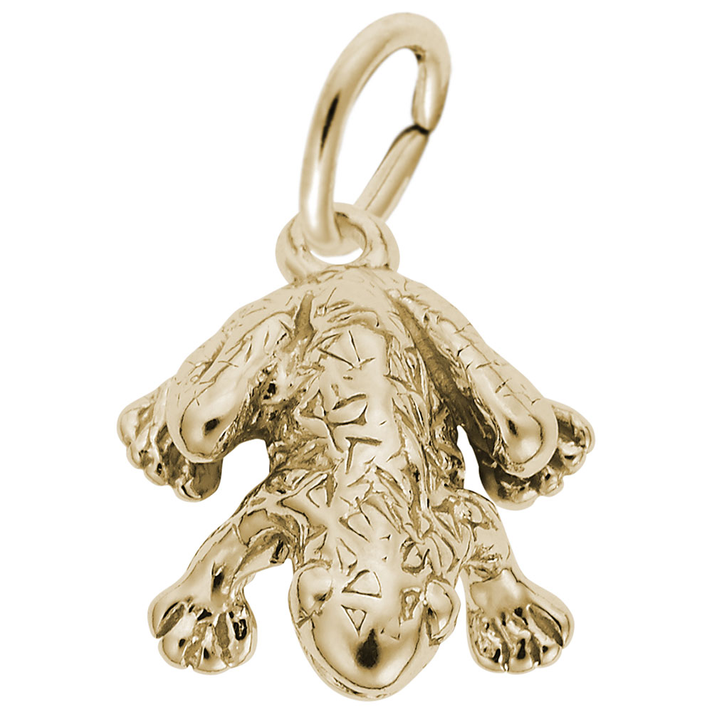 Frog 3D