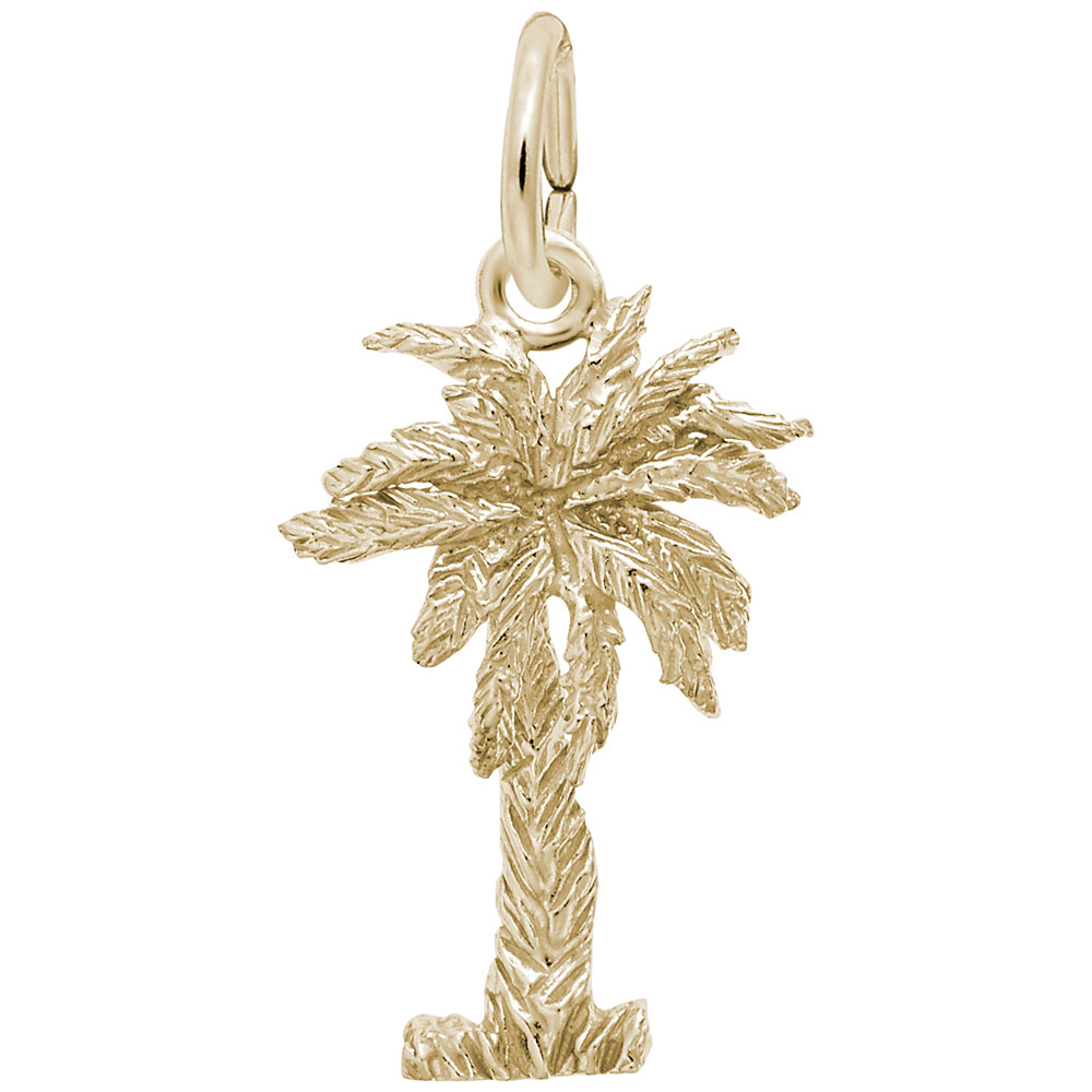 Palmetto 3D