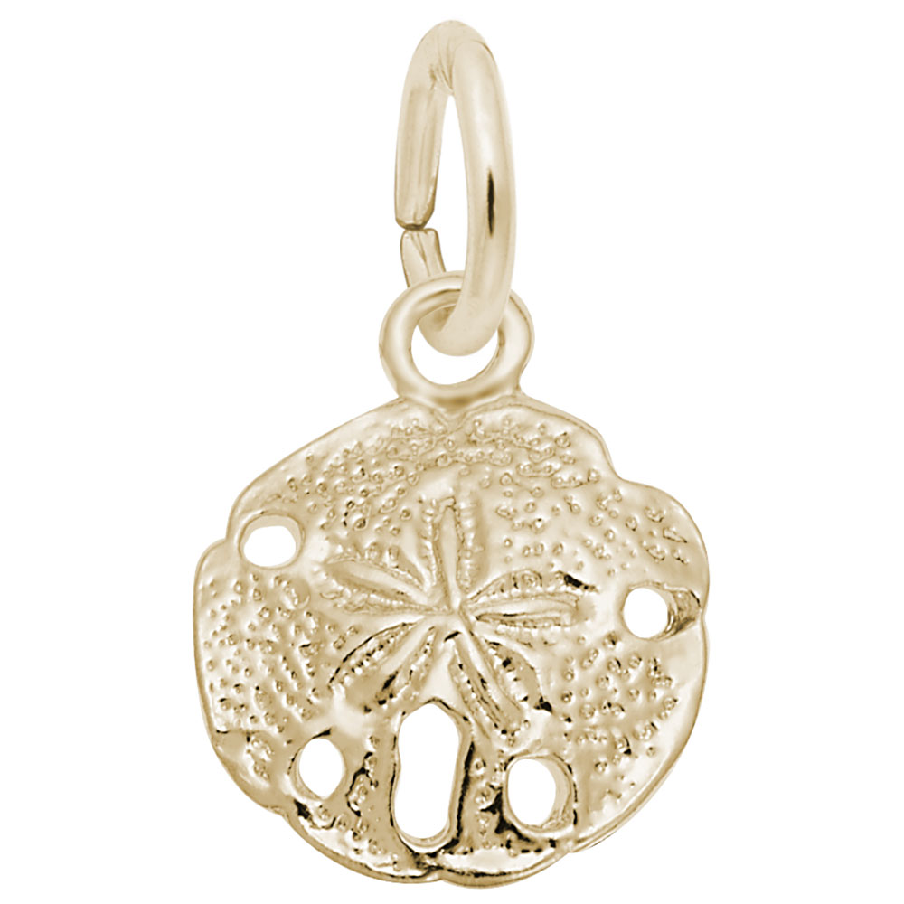 Sand Dollar