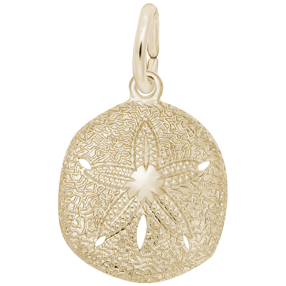 Sand Dollar