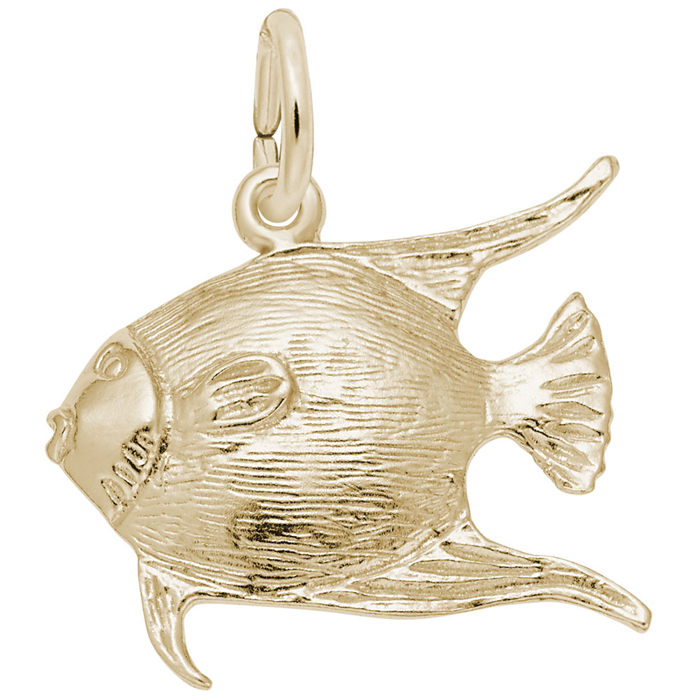 Angelfish