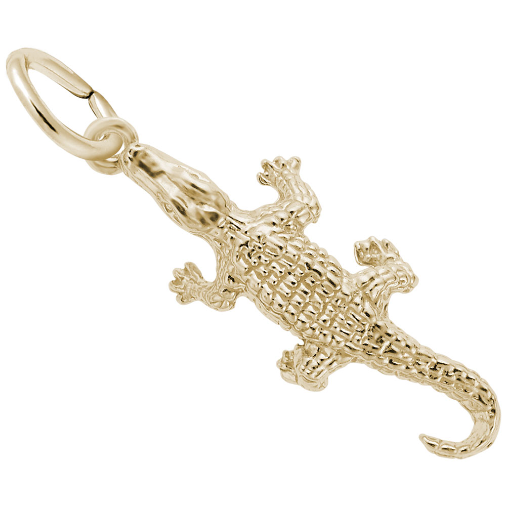 Alligator