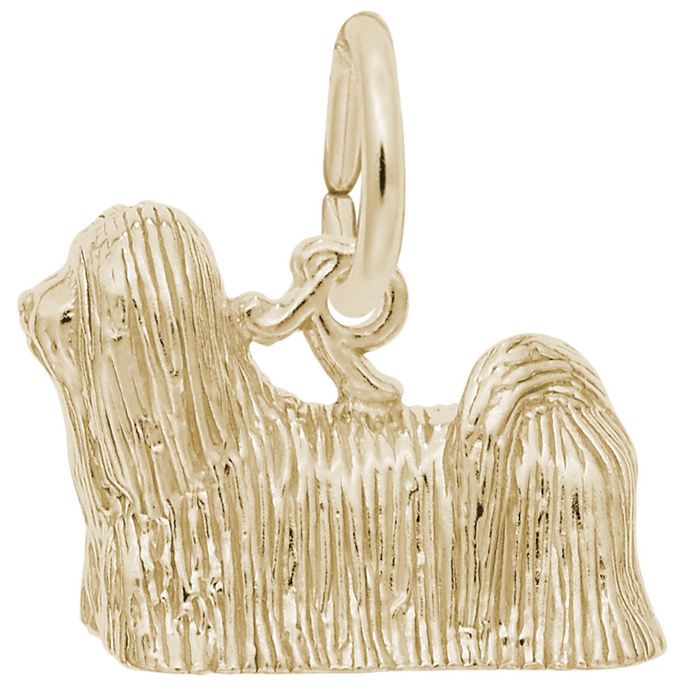 Lhasa Apso
