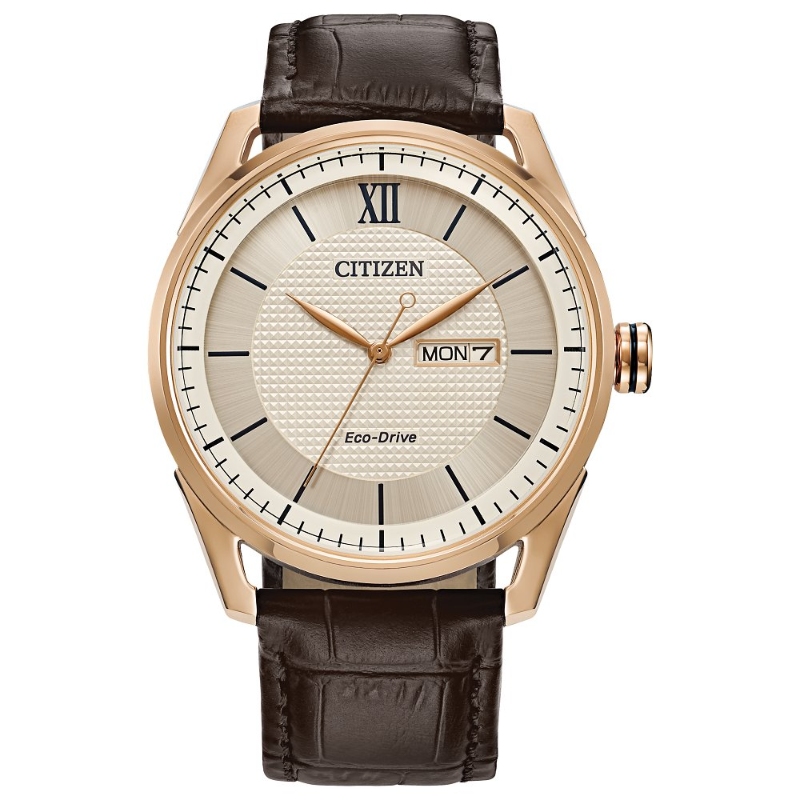 Citizen Classic Eco Men's Watch