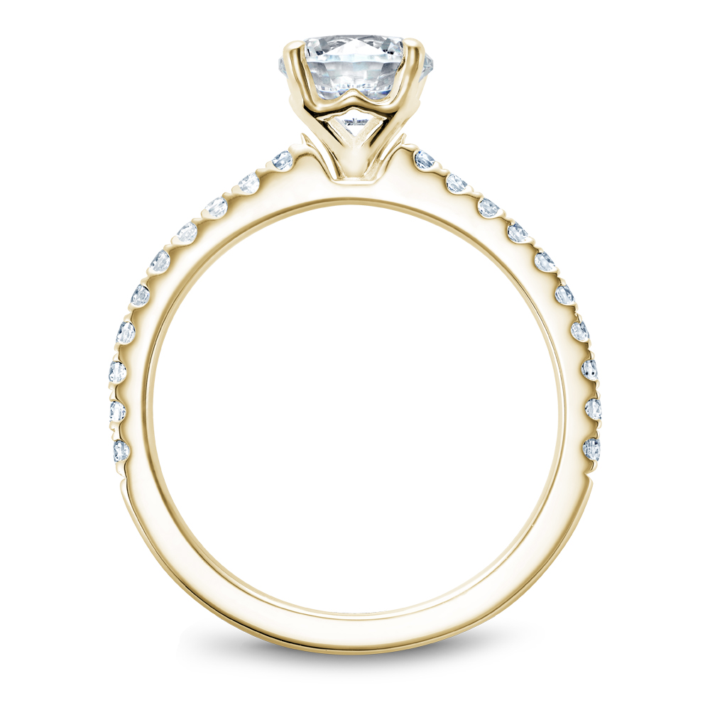 Noam Carver Semi Mount Engagement Ring