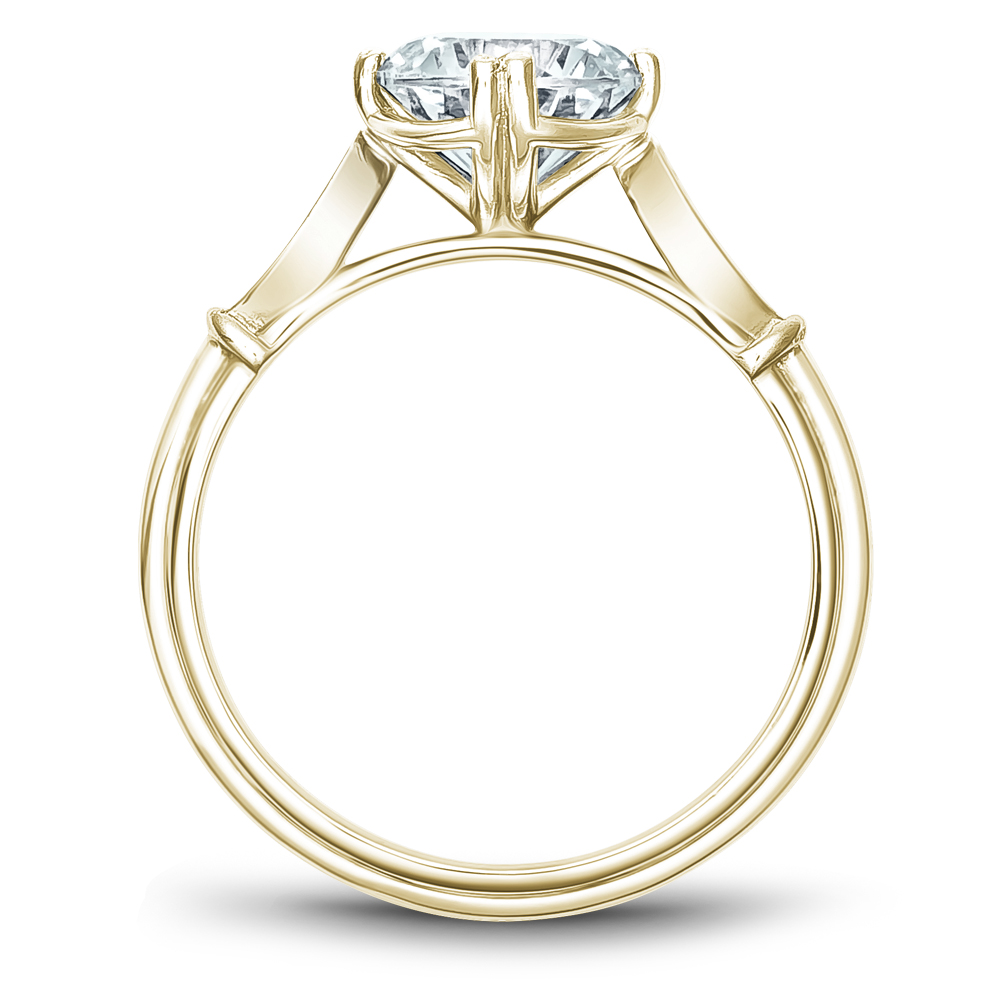 Noam Carver Semi Mount Engagement Ring