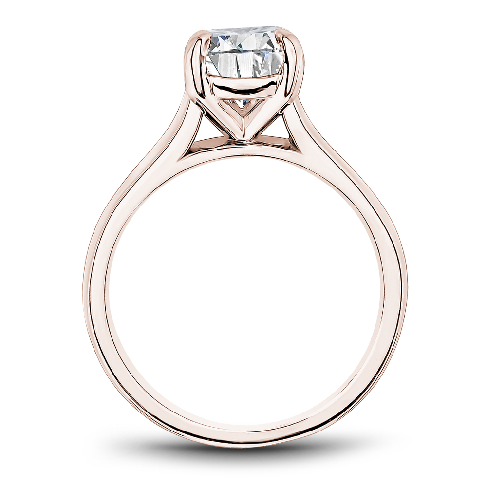 Noam Carver Semi Mount Engagement Ring