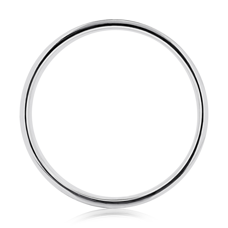 Matte Finish Men's Platinum Wedding Band-1